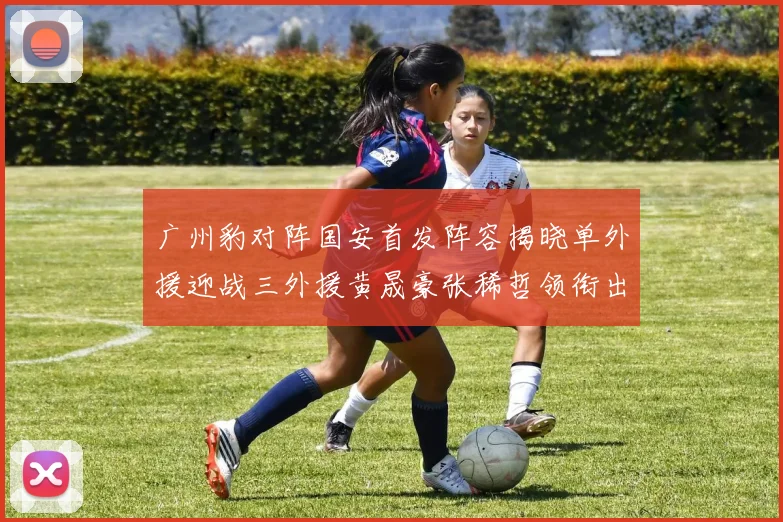 广州豹对阵国安首发阵容揭晓单外援迎战三外援黄晟豪张稀哲领衔出战